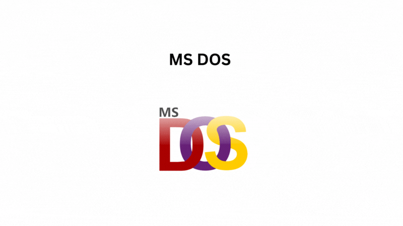 MS DOS